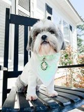 Load image into Gallery viewer, Lily of the Valley Cameo