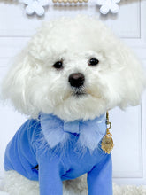 Load image into Gallery viewer, Enchanted