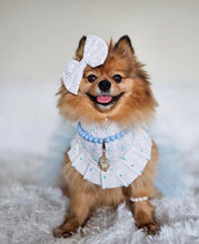 Load image into Gallery viewer, Enchanted