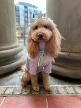 Load image into Gallery viewer, Nodo Neckerchief in Celadon Green/Lavendar Stripe
