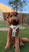 Load image into Gallery viewer, Liberty Aura Bear
