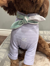 Load image into Gallery viewer, Nodo Neckerchief in Celadon Green/Lavendar Stripe
