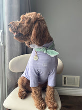 Load image into Gallery viewer, Nodo Neckerchief in Celadon Green/Lavendar Stripe
