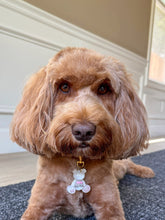 Load image into Gallery viewer, Amore Aura Bear
