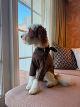Load image into Gallery viewer, Velvet Sable &amp; Brocade Print Nodo Pet Neckerchief
