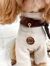 Load image into Gallery viewer, Autumn Lustre ID tag
