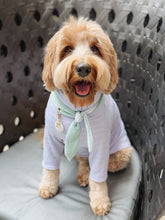 Load image into Gallery viewer, Nodo Neckerchief in Celadon Green/Lavendar Stripe
