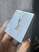 Load image into Gallery viewer, Bone Necklace
