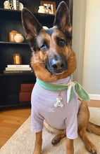 Load image into Gallery viewer, Nodo Neckerchief in Celadon Green/Lavendar Stripe
