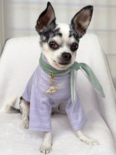 Load image into Gallery viewer, Nodo Neckerchief in Celadon Green/Lavendar Stripe
