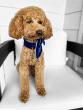 Load image into Gallery viewer, Nodo Neckerchief in Heritage Navy/Heart Print
