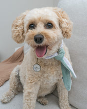 Load image into Gallery viewer, Nodo Neckerchief in Celadon Green/Lavendar Stripe
