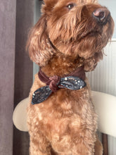 Load image into Gallery viewer, Velvet Sable &amp; Brocade Print Nodo Pet Neckerchief
