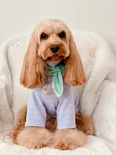 Load image into Gallery viewer, Whisper ID Tag
