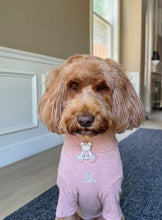 Load image into Gallery viewer, Amore Aura Bear
