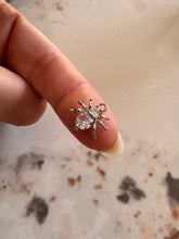 Load image into Gallery viewer, Arachnid Charm
